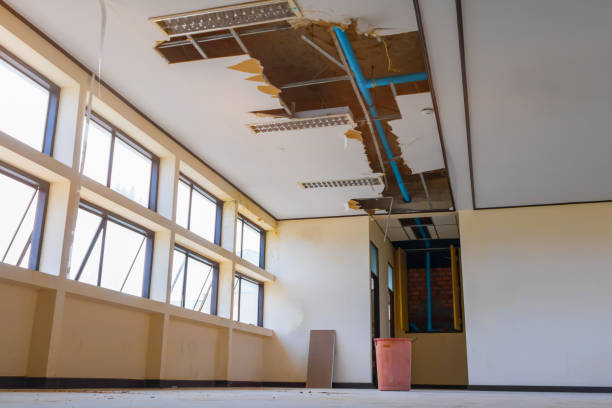 Best 24-hour water damage restoration  in West Hattiesburg, MS