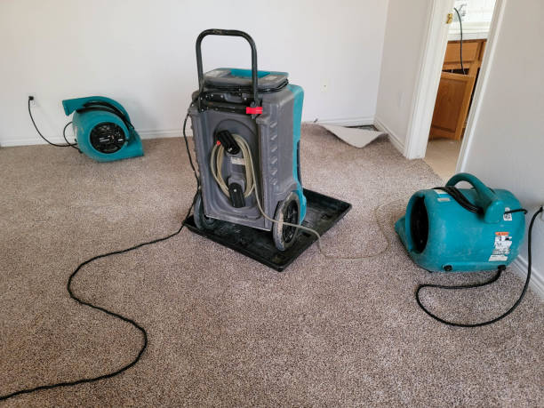 Best Sewage cleanup and water damage restoration  in West Hattiesburg, MS