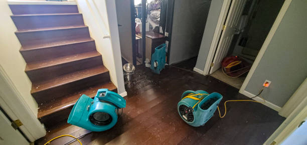  West Hattiesburg, MS Water damage restoration Pros