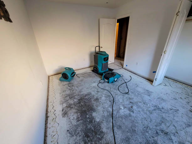 Best Emergency water extraction  in West Hattiesburg, MS
