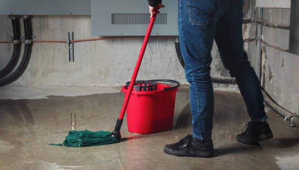 Best Residential water damage restoration  in West Hattiesburg, MS