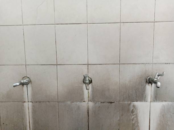 Best Water damage cleanup near me  in West Hattiesburg, MS