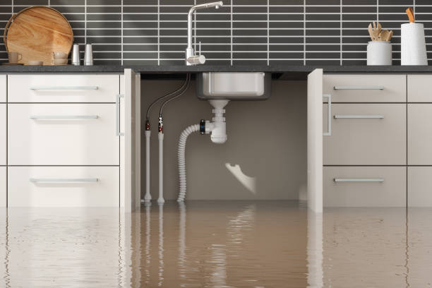 Best Ceiling water damage repair  in West Hattiesburg, MS