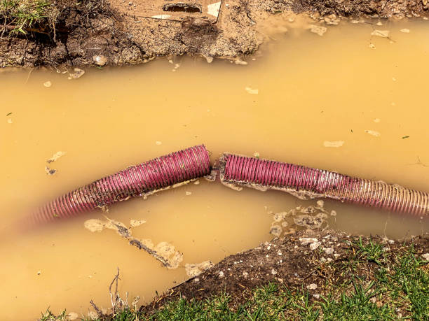 Carpet water damage restoration in MS