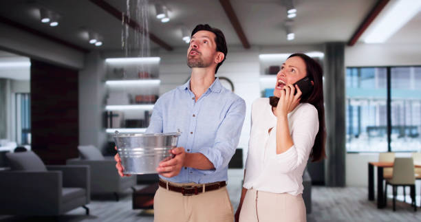 Best Water damage restoration near me  in West Hattiesburg, MS