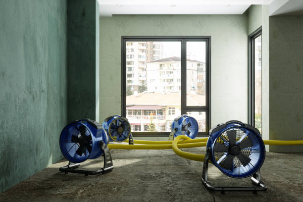 Best Professional water damage repair  in West Hattiesburg, MS